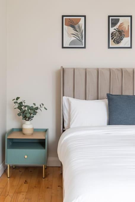 Modern Penthouse Apartment 2 Bed, 2 Bath Sleeps 6 City Centre Belfast Buitenkant foto