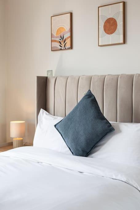 Modern Penthouse Apartment 2 Bed, 2 Bath Sleeps 6 City Centre Belfast Buitenkant foto